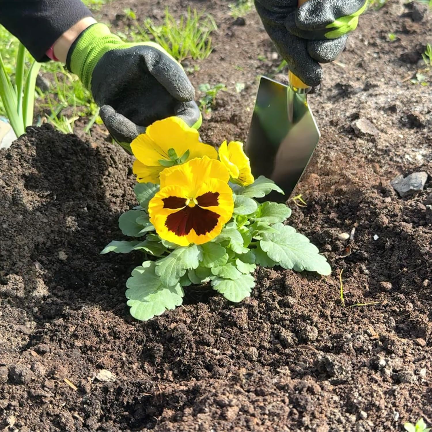 Imagen de BIKAIN - Herramientas de Jardinería - Taburete Plegable + Bolsa + Herramientas - Kit de Jardinería - Bolsa de Almacemiento con Cremallera - Incluye 5 Herramientas con Mango de Madera