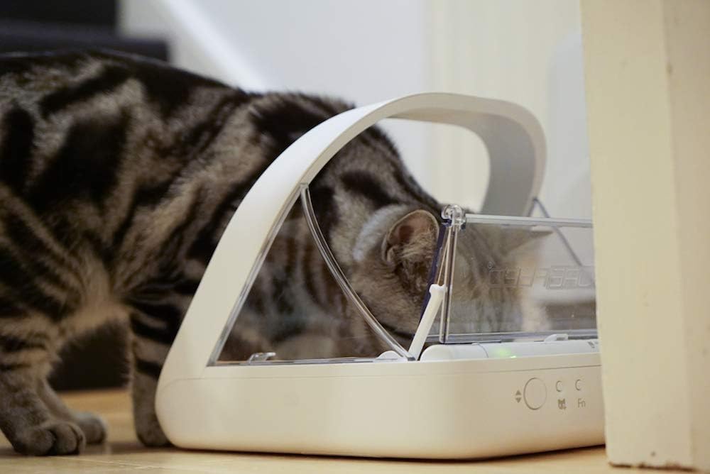 Imagen de Comedero para mascotas SureFeed Sure Petcare con lector de microchip y tapa sellada, compatible con placas de identificación RFID, para comida húmeda y seca, blanco, necesita 4 pilas C (no incluidas).