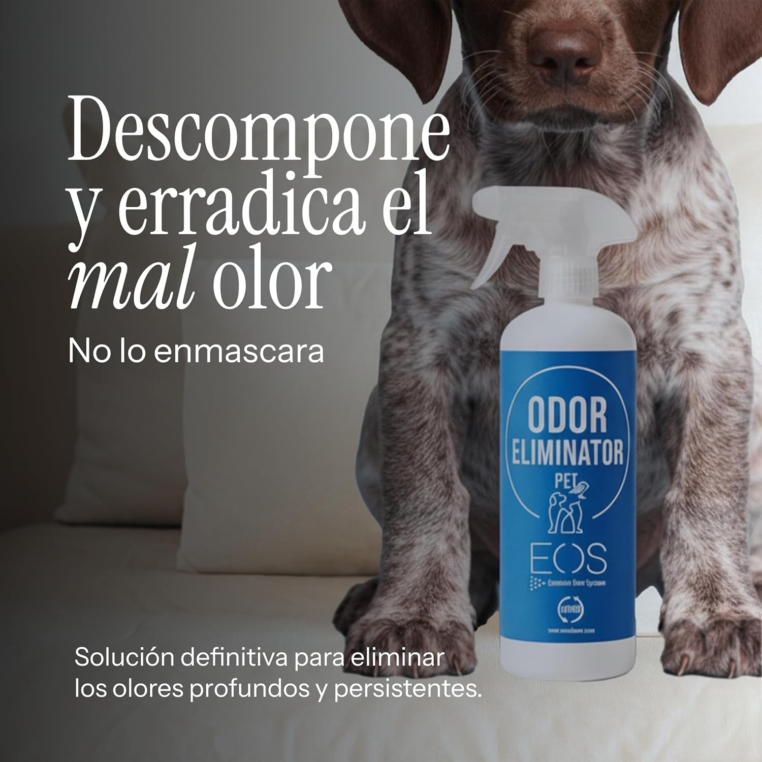 Imagen de EOS (1 litro) Eliminador de olores Mascotas al instante. Anti olor orines de Perros, Gatos. Aplicar en sofás, arenero, cesped, Coche. Detergente enzimatico, Repelente de micciones gatos.
