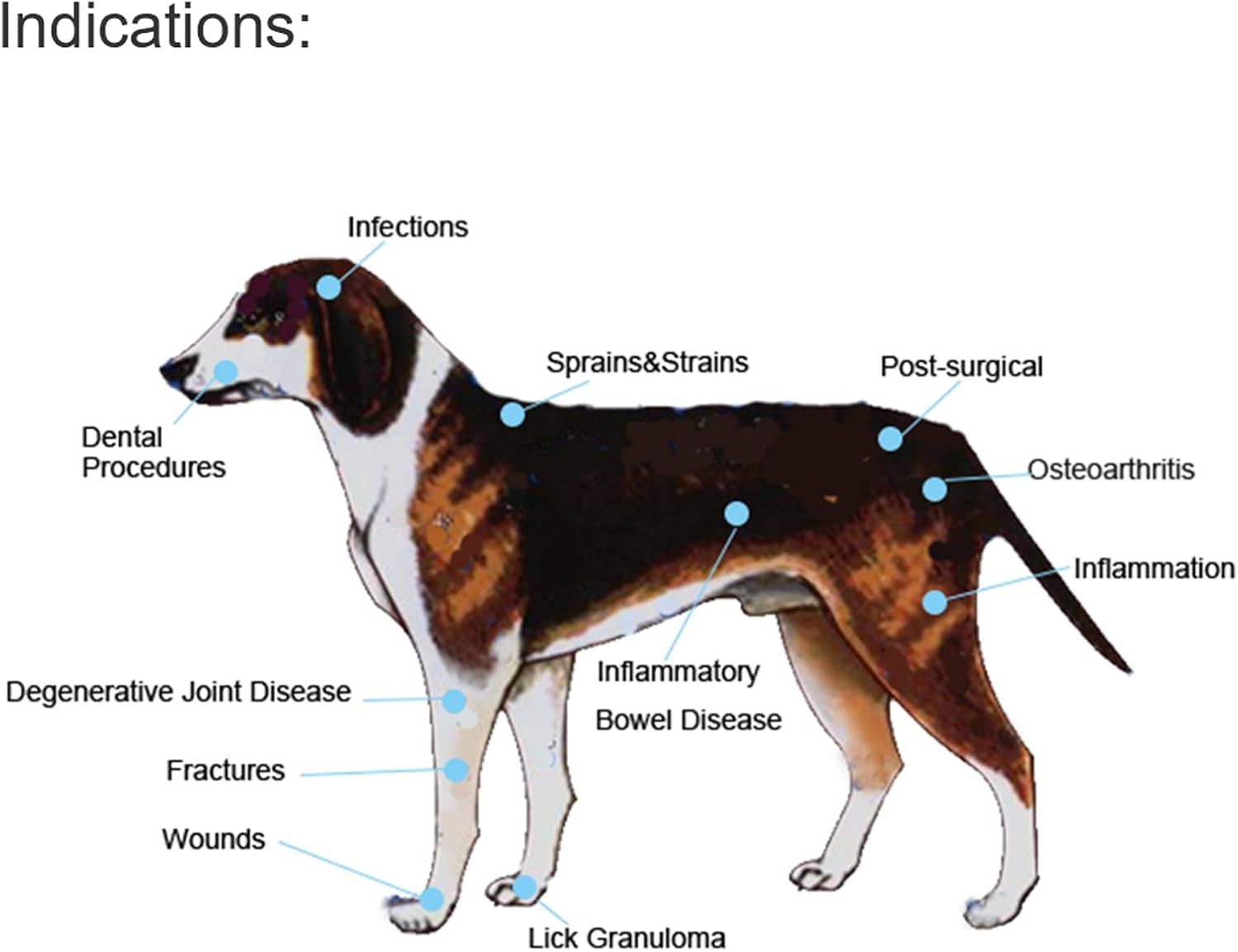 Imagen de iKeener Dispositivo de terapia para mascotas/veterinarios, (4 x 808 nm), terapia láser fría, alivia el dolor muscular y articular de animales, dispositivo de terapia portátil con luz roja para