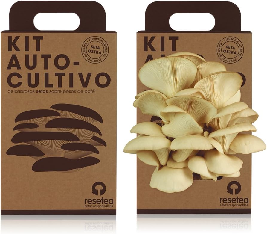 Imagen de Kit Cultivo de Setas en Casa | Setas Ostra Gourmet Listas en 15 Días | Cultiva Tus Propias Setas Frescas | Regalo Original para Foodies, Cocineros y Amantes de la Cocina | Fácil y Rápido