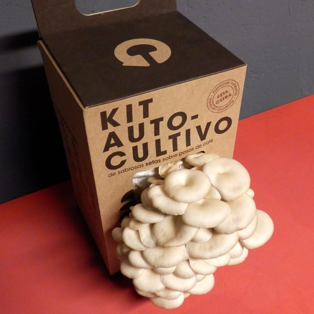 Imagen de Kit Cultivo de Setas en Casa | Setas Ostra Gourmet Listas en 15 Días | Cultiva Tus Propias Setas Frescas | Regalo Original para Foodies, Cocineros y Amantes de la Cocina | Fácil y Rápido