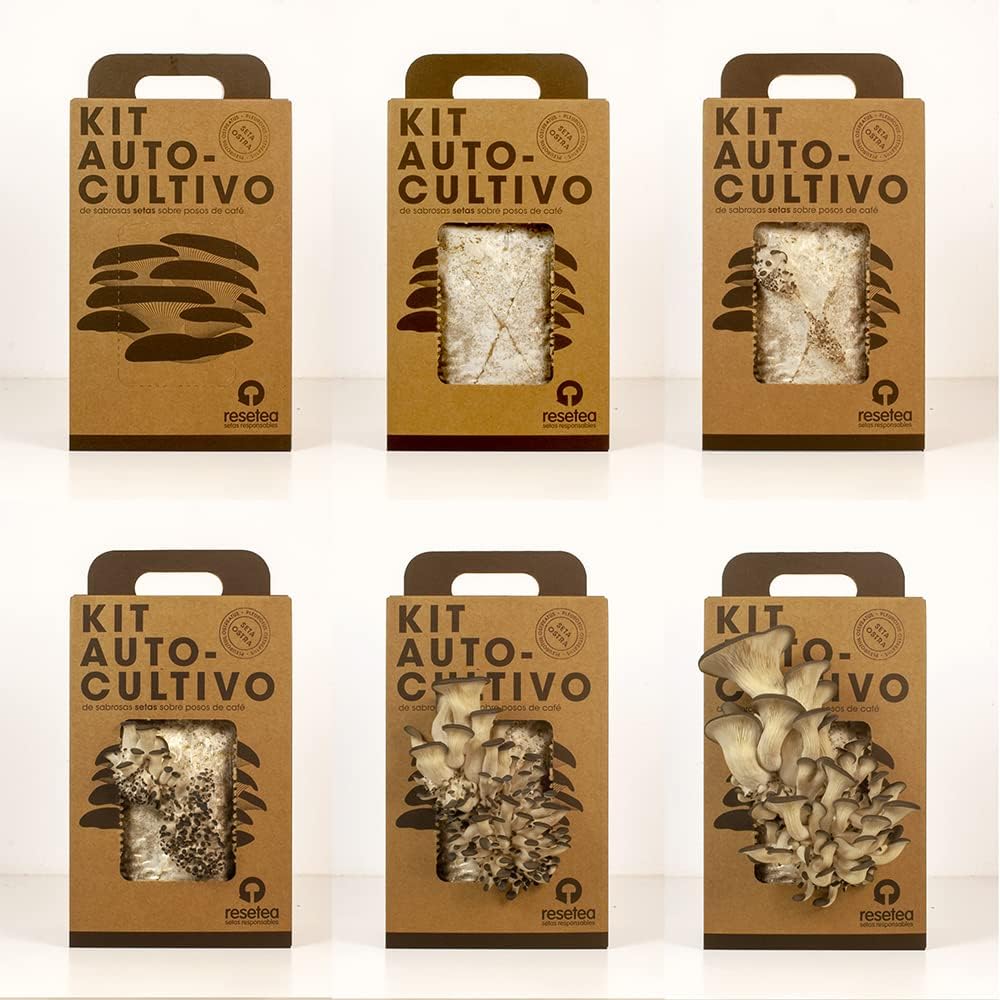 Imagen de Kit Cultivo de Setas en Casa | Setas Ostra Gourmet Listas en 15 Días | Cultiva Tus Propias Setas Frescas | Regalo Original para Foodies, Cocineros y Amantes de la Cocina | Fácil y Rápido