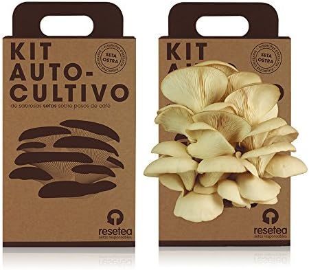 Imagen de Kit Cultivo de Setas en Casa | Setas Ostra Gourmet Listas en 15 Días | Cultiva Tus Propias Setas Frescas | Regalo Original para Foodies, Cocineros y Amantes de la Cocina | Fácil y Rápido