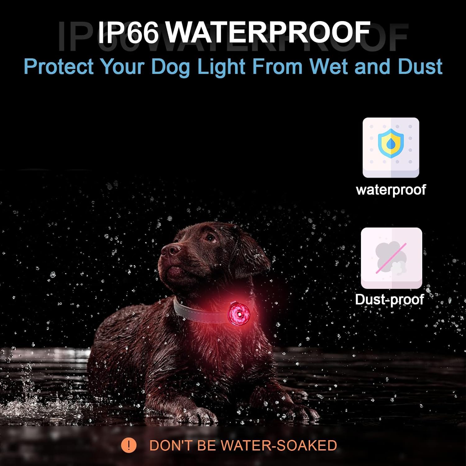 Imagen de LUZ PET: luz impermeable para perros, duradera y perfecta para paseos nocturnos, X.S.M.L, Plástico, Diamante