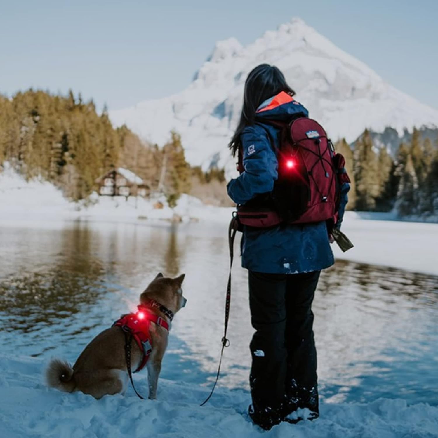 Imagen de LUZ PET: luz impermeable para perros, duradera y perfecta para paseos nocturnos, X.S.M.L, Plástico, Diamante