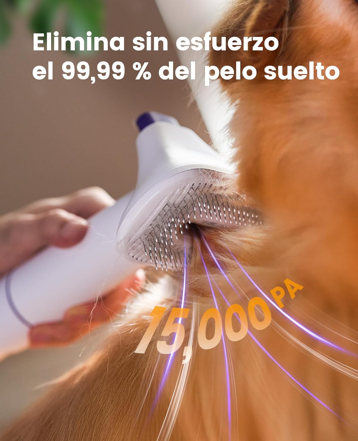Imagen de oneisall Aspira peli Cane &Gatto domésticocon Cepillo, Súper Poder de succión con 12000pa, Aspiradora para pelos de Perro con un botón, Aspiradora pelos Mascotas con 4 Cepillos