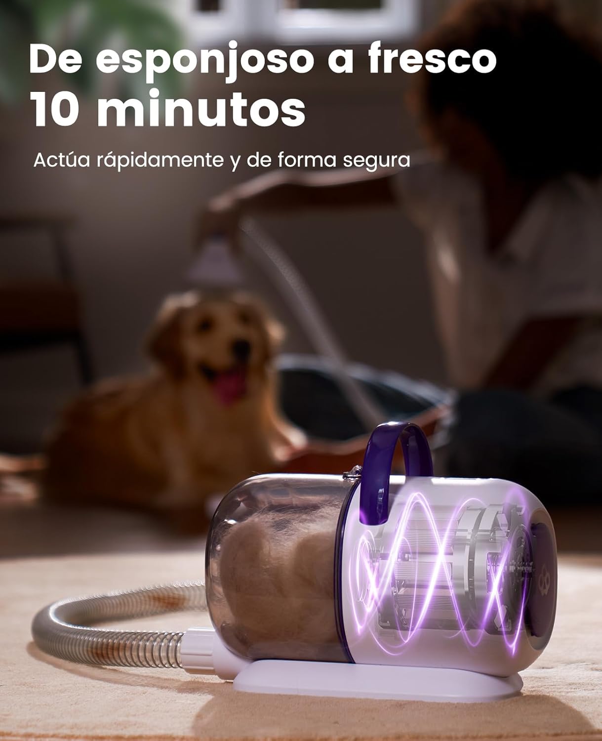 Imagen de oneisall Aspira peli Cane &Gatto domésticocon Cepillo, Súper Poder de succión con 12000pa, Aspiradora para pelos de Perro con un botón, Aspiradora pelos Mascotas con 4 Cepillos