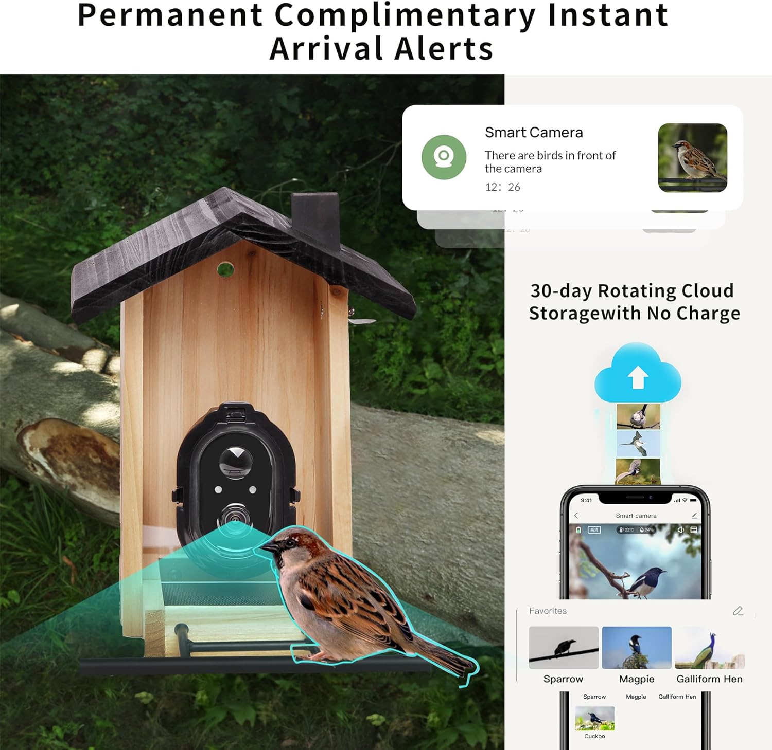 Imagen de Origem Comedero para Pájaros Smart 3L con Cámara y Detección de Pájaros AI GratuitaAlimentador para Pájaros con Visión Nocturna, 30 Días de Retención de Mensajes de Vídeo