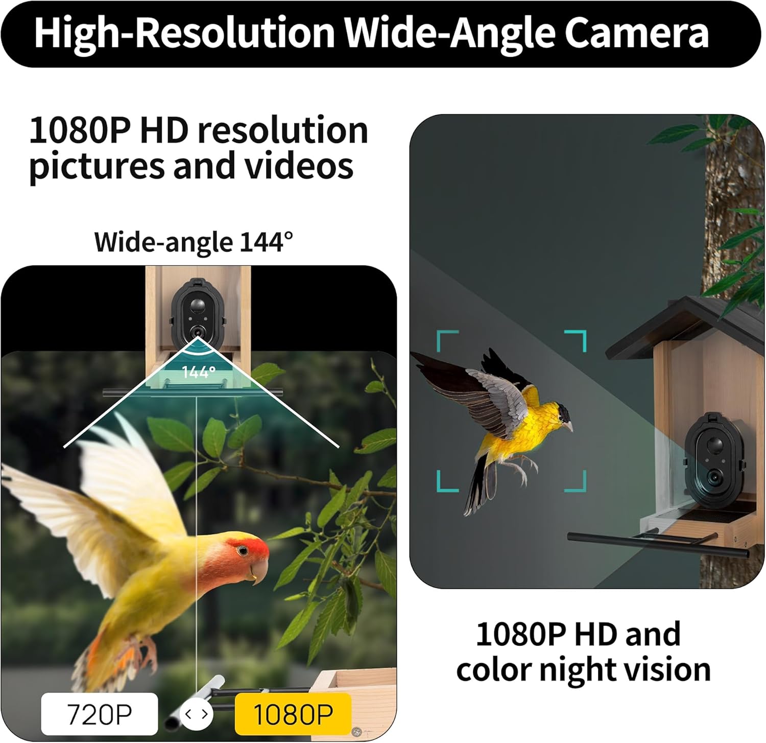 Imagen de Origem Comedero para Pájaros Smart 3L con Cámara y Detección de Pájaros AI GratuitaAlimentador para Pájaros con Visión Nocturna, 30 Días de Retención de Mensajes de Vídeo