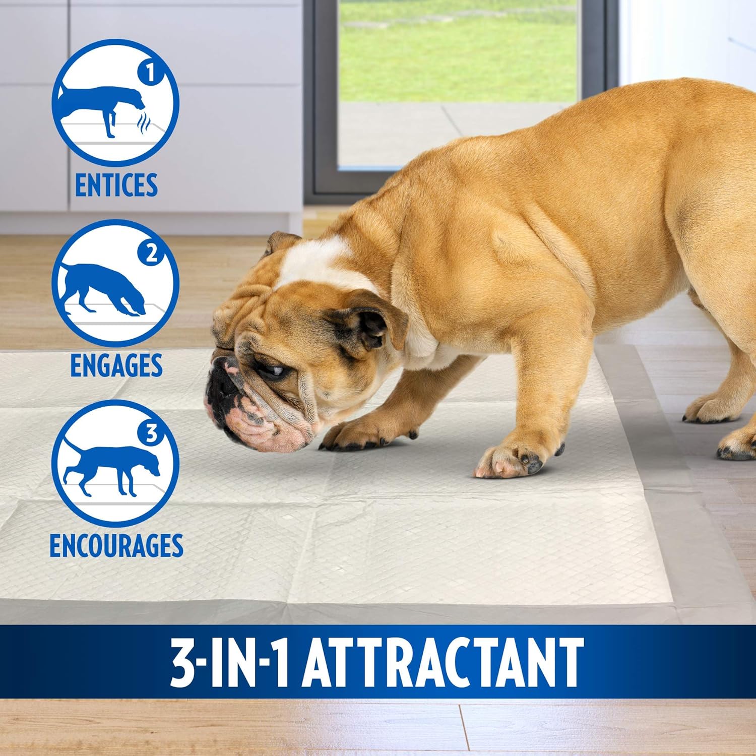 Imagen de OUT! PetCare out IR aquí Almohadillas de Entrenamiento para Perros (Pack de 100)