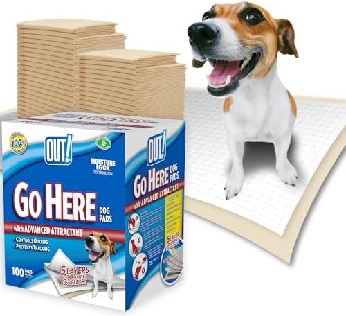 Imagen de OUT! PetCare out IR aquí Almohadillas de Entrenamiento para Perros (Pack de 100)