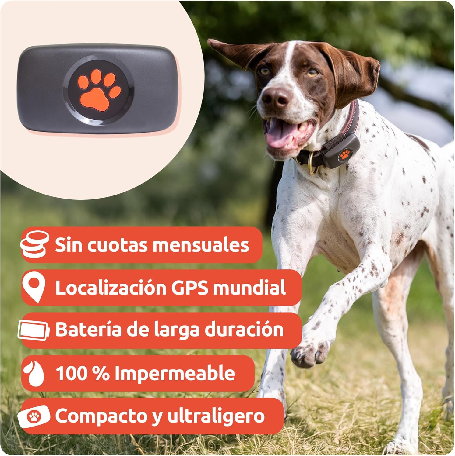 Imagen de PitPat Localizador GPS Perros - Sin Suscripción - Rastreador De Actividad Inteligente, Rastreo Vía Satélite con Alcance Ilimitado - Rastreador De Mascotas 100% Impermeable (Negro)