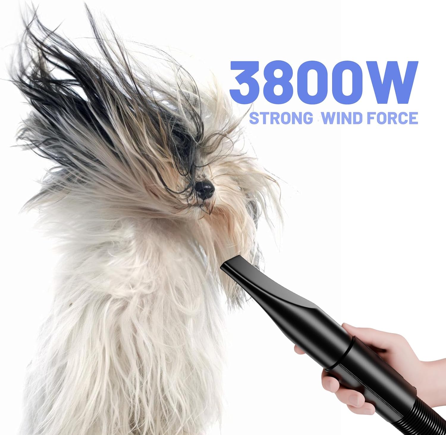 Imagen de Secador de Pelo para Perros Blower Muy silencioso 5,2 CV / 3800 W Motor de Velocidad Ajustable, para el Cuidado de Perros con 4 boquillas Diferentes Manguera elástica