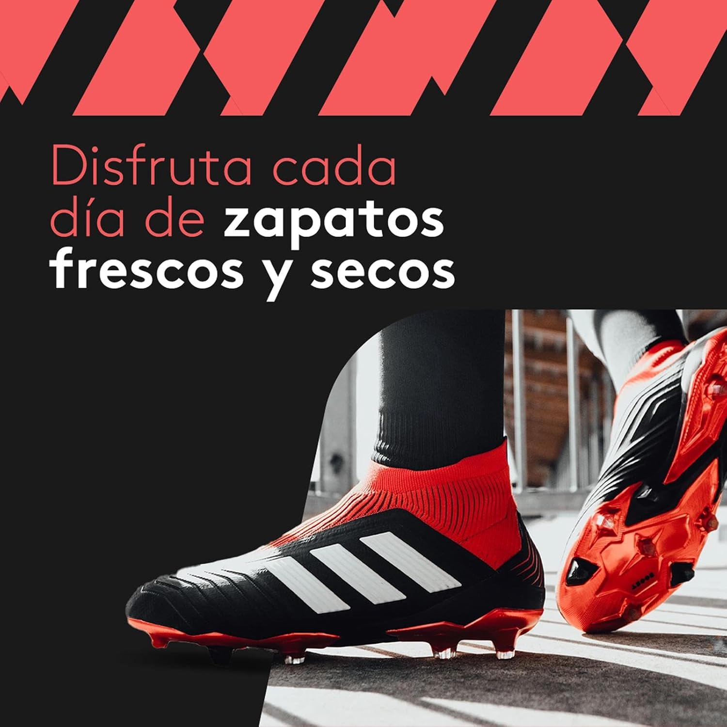 Imagen de SHOEDRY Ozone - Secador y Refrescador de Zapatos - Tecnología de Ozono - Elimina bacterias y Hongos - Sin olores desagradables - Zapatos Frescos y limpios - Eficiente energéticamente.