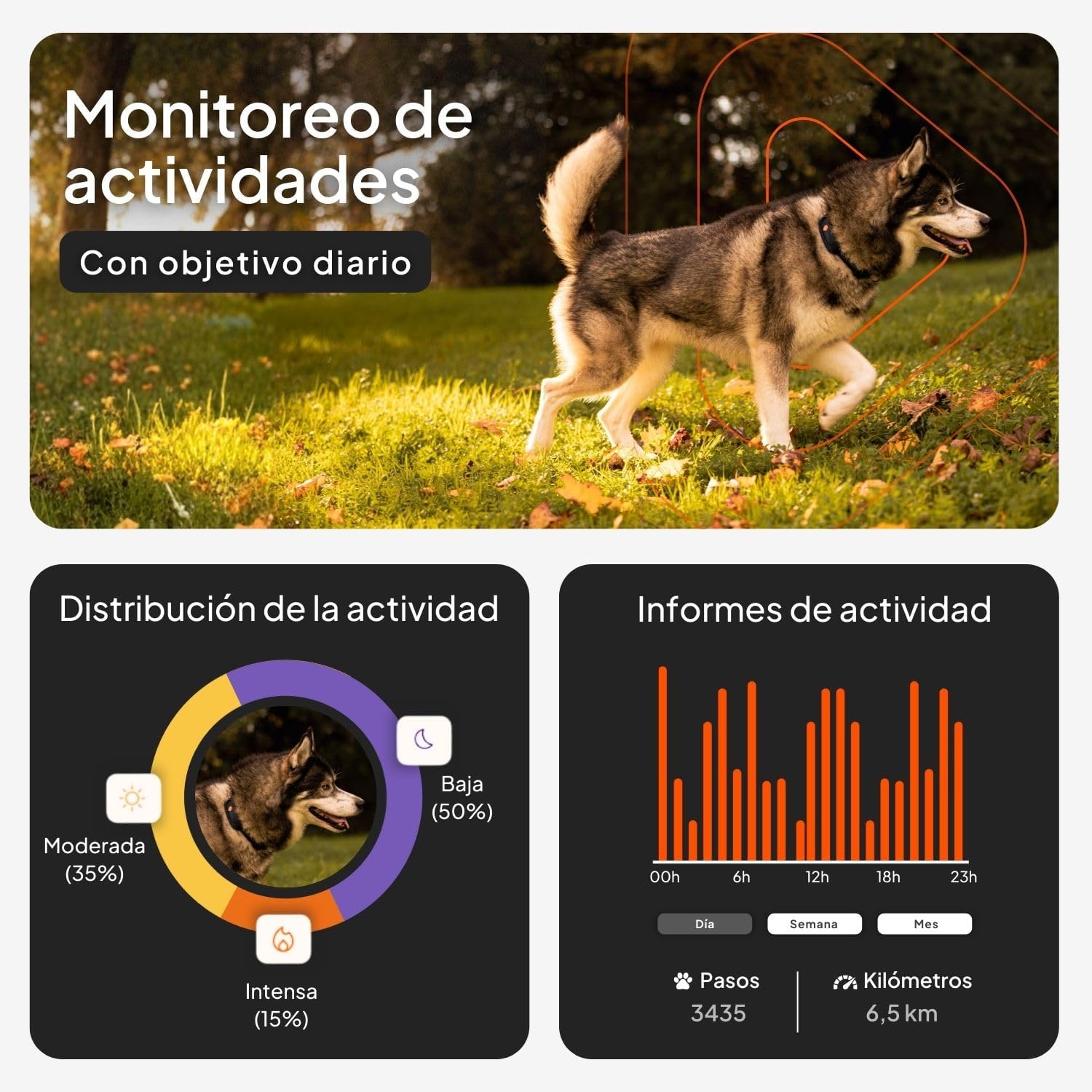 Imagen de Weenect Dog XT - Nuevo Collar GPS para Perros | Antena XL | Impermeable | Collar Rojo Ultra-Resistente Integrado Julius-K9 | Garantía de por Vida | Suscripción requerida